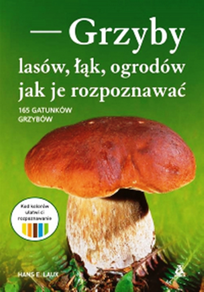 Grzyby - lasów, łąk ogrodów. Jak je rozpoznawać